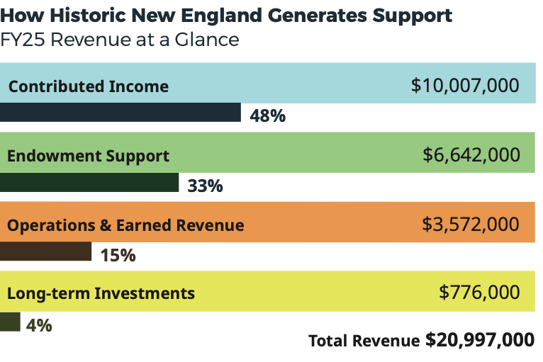 A horizontal bar chart showing revenue by type.